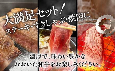 おおいた和牛 ステーキ・すき焼き・焼肉 セット | 焼肉 津久見市