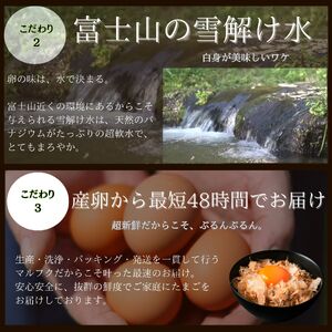 a11-164　富士の名月　卵かけごはん セット