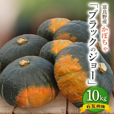 【ふるさと納税】【先行予約】北海道 富良野市産 かぼちゃ「ブラックのジョー」10kg【2025年10月上旬より発送】【1301345】
