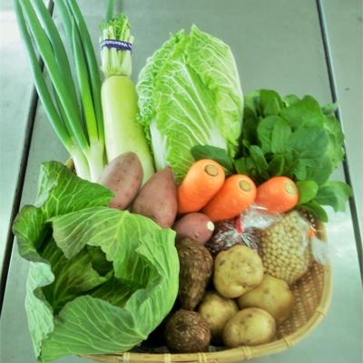 ふるさと納税 大津町 【JA菊池 大津中央支所 とれたて市場】季節の野菜セット