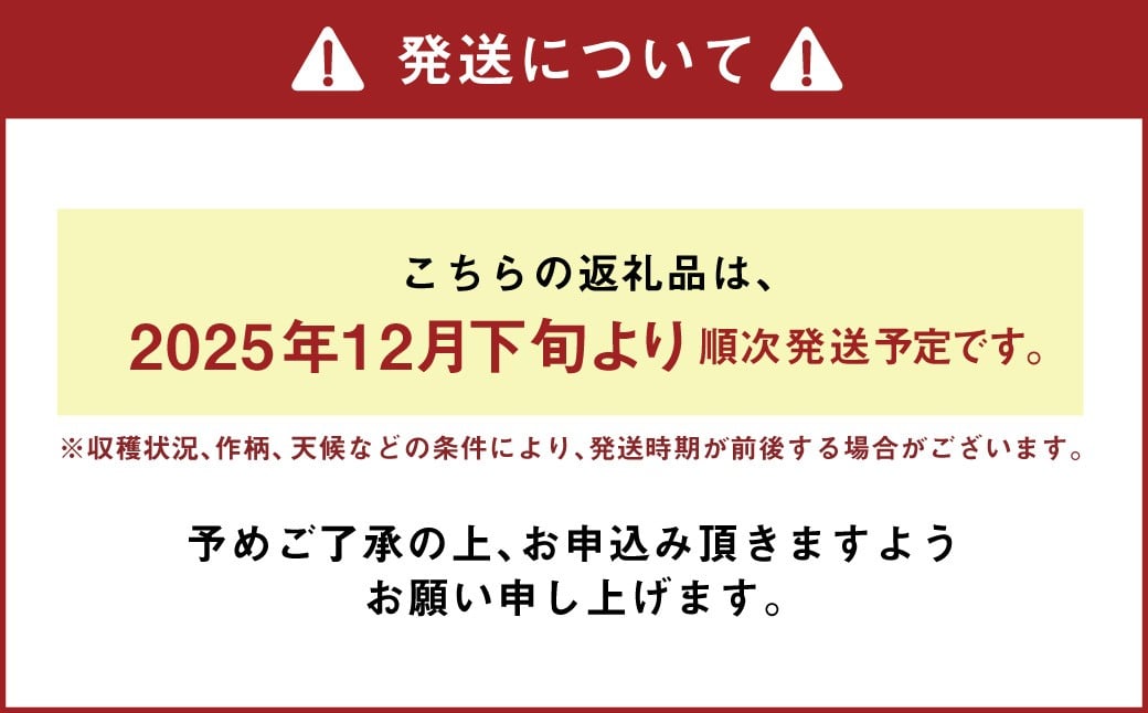 熊本県あさぎり町産　白ねぎ「球磨美人」Mサイズ×40本