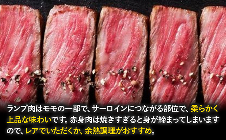 国産牛ランプステーキ 約360g 約180g×2枚 岩塩100g付き