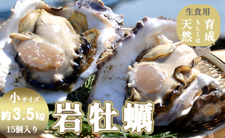 訳あり 岩がき 小サイズ 15個入 3.5kg前後 生食用 ： 牡蠣 殻付き牡蠣