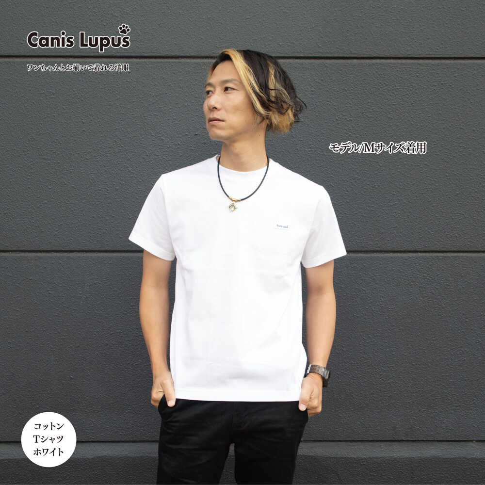 【ふるさと納税】【家計お助け返礼品】コットンTシャツ ホワイト （S-XLサイズ）/ Tシャツ 半袖 ユニセックス シンプル / 佐賀県 / Canis Lupus[41AAAN002]