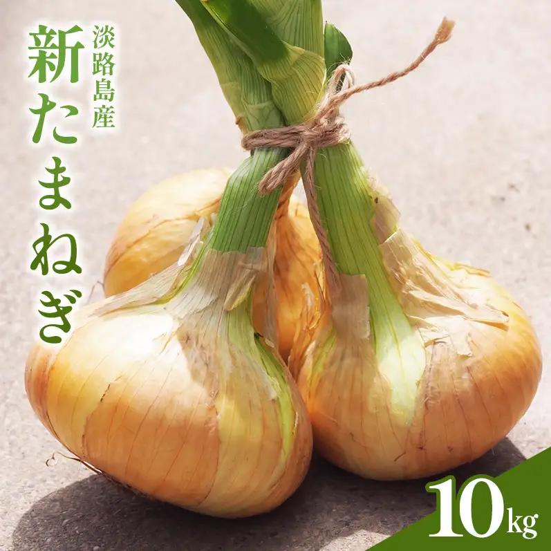 新玉ねぎ 淡路島産 10kg 甘い みずみずしい 新玉ねぎ