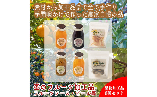 峯フルーツセット 計6種類 手づくりジャムソース4種 ドライフルーツ2種 【 家庭用 自宅用 贈答品 贈答用 ギフト お取り寄せ お中元 お歳暮 贈り物 お祝い 神奈川県 小田原市 】 142069_EZ009