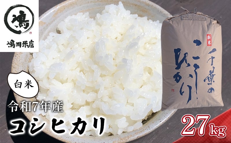 
            千葉産　令和7年コシヒカリ　白米27kg【 お米 粘りつやつや 甘み】 精米 ほんのり甘み 食感 新鮮  [№5346-0208]
          