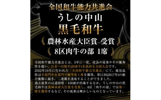 【数量限定】A4・5等級 鹿児島県産黒毛和牛【厚切り】サーロインステーキ 計900g（300g×3枚） g4-018