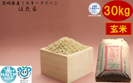 【令和7年度産】＼農家直送！低温保存玄米／茨城県産 ミルキークイーン ほたる 30kg 茨城県共通返礼品 かすみがうら市産 米 お米 白米 こめ 精米 取り寄せ 特産 ごはん ご飯 コメ お取り寄せ ギフト 贈り物 お弁当 弁当 おにぎり ふっくら ツヤツヤ 甘い 農家直送 産地直送 国産 茨城県産
