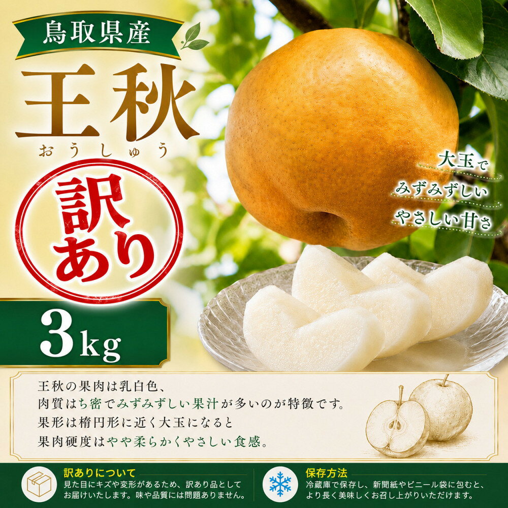 【ふるさと納税】【訳あり】山根農園 王秋 3kg【2026年10月以降発送】 | フルーツ 果物 くだもの 食品