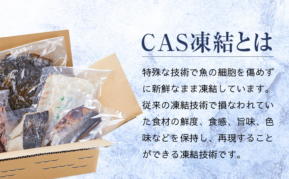 CAS凍結 南紀の誉れ 旬 の 海産物 6品 セット お楽しみ 簡単調理 干物 お造り 塩焼き など