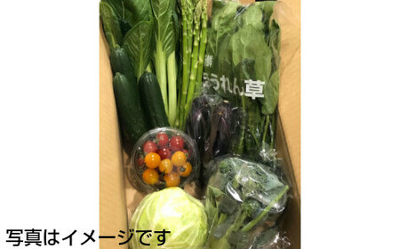  【定期便6ヶ月】イーハトーヴ野菜C もりもりセット 11品～ 詰め合わせ【1209】