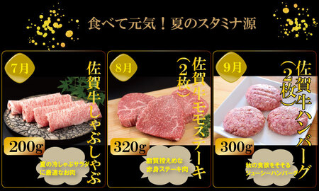 【定期便】 (連続12回) 佐賀牛 やまとフーズ 単身・おひとり様用 [Q146-001