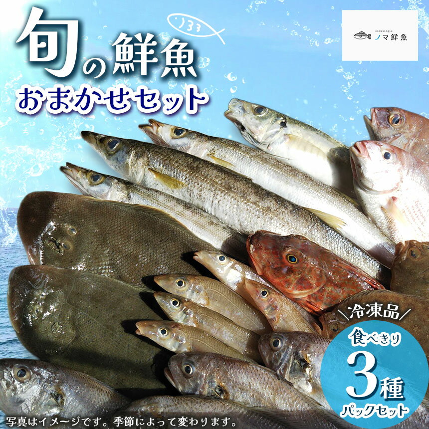 【ふるさと納税】鮮度抜群！お魚おまかせ食べきり3種パック×1セット・下処理加工してあるので解凍してすぐに調理できます。 ※北海道・沖縄・離島への配送不可 セット 海鮮 鮮魚 魚 下処理済 新鮮 海鮮盛り合わせ 詰め合わせ 人気 おすすめ 愛知県 美浜町