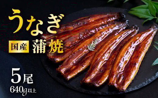 【 発送月・容量が選べる！ 】【 11月発送 】 国産 うなぎ蒲焼 上うなぎ5尾 640g以上 山椒付き 鰻 ウナギ たれ タレ たっぷり うな重 鰻重 ひつまぶし