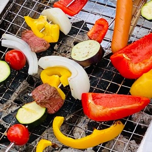 【 自然 の 中で BBQ らくらく パック 】 利用券 2名様 ｜ PGFLAND 千葉県 君津市 千葉 君津 きみつ