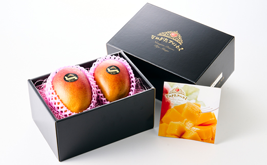 茨城県産 なめがたプリンセスマンゴー2L【400g以上】2個【配送不可地域：離島・沖縄県】