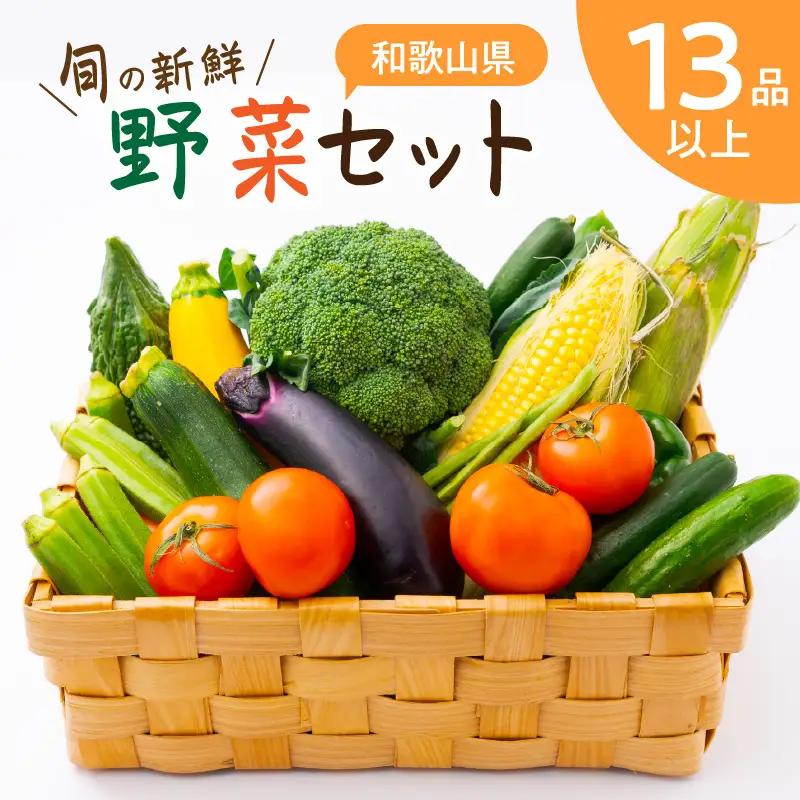 旬の新鮮野菜セットたっぷり13種以上【0054-3】
