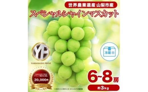フルーツ王国山梨産厳選 シャインマスカット 6～8房(約3kg) 約1.5kg×2箱【1632337】