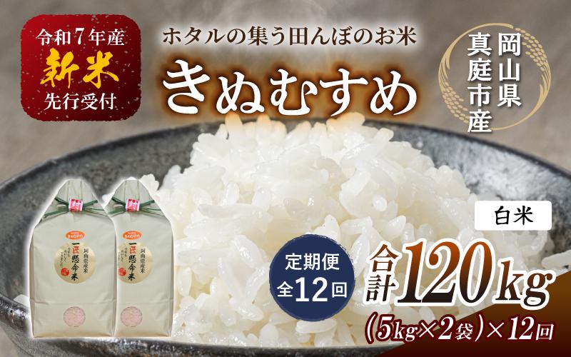 
            【令和7年産先行予約】＜定期便 全12回＞令和７年新米 真庭市産きぬむすめ 白米１０kg(5kg×2袋)×１２回(定期便) / お米 国産 岡山県 真庭市 白米 米 きぬむすめ キヌムスメ 人気 ブランド米 新米 先行予約 定期便 令和7年産 2025年産
          