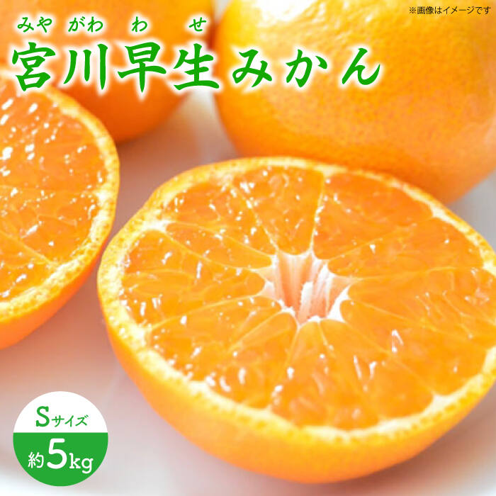 【ふるさと納税】【先行予約】早生（宮川早生） みかん Sサイズ 約5kg ー2025年11月より発送ー 長与町/山口農園 [EBI009] 宮川 早生 みかん 温州みかん 柑橘 フルーツ 果物 季節限定 長崎県産 長与町 産地直送 先行予約