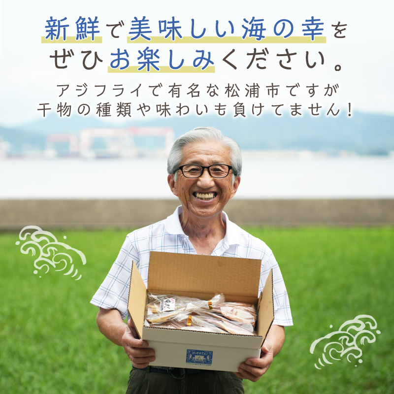松浦・潮風のたより 塩サバフィレ一夜干し15枚入り( 魚 干し物 サバ 海鮮 干物 おすすめ 人気 セット ひもの さば 詰め合わせ 国産 )【A8-038】