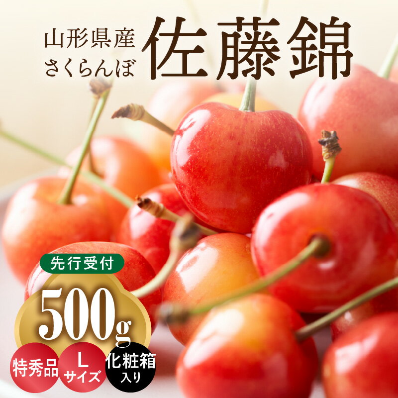 【ふるさと納税】 《先行受付》さくらんぼ 佐藤錦 500g 特秀品 Lサイズ 化粧箱入【2026年6月中旬頃〜発送予定】【山形県産さくらんぼ】 山形県産 ギフト 産地直送 数量限定