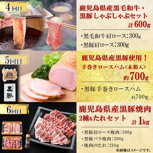 【定期便・全6回】鹿児島県産黒豚・黒毛和牛満喫コース！ 総量4.5kg超!  牛肉 豚肉 鹿児島県産 九州産 国産 黒毛和牛 ステーキ すきやき しゃぶしゃぶ 焼肉 BBQ ウインナー ソーセージ ハ