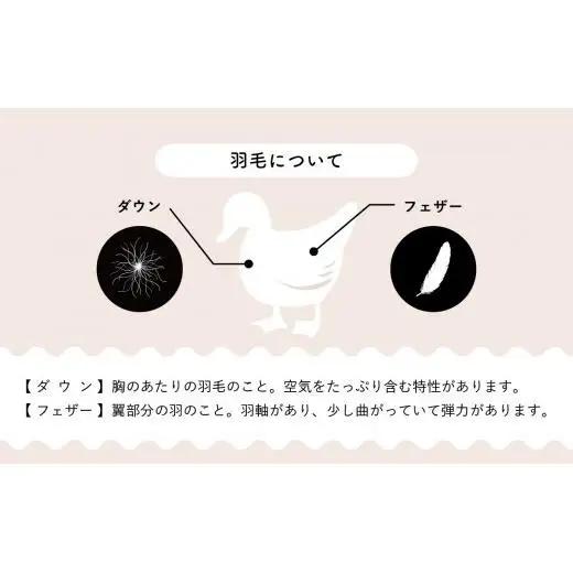 羽毛布団【シングル】肌掛　イングランド産ホワイトダウン90％400gDP360【H-5】