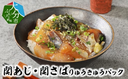 
関あじ・関さばりゅうきゅうパック 魚 切り身 りゅうきゅう 郷土料理 大分県 たれ付 お茶漬け りゅうきゅう丼 富士見 おつまみ 冷凍 E19002
