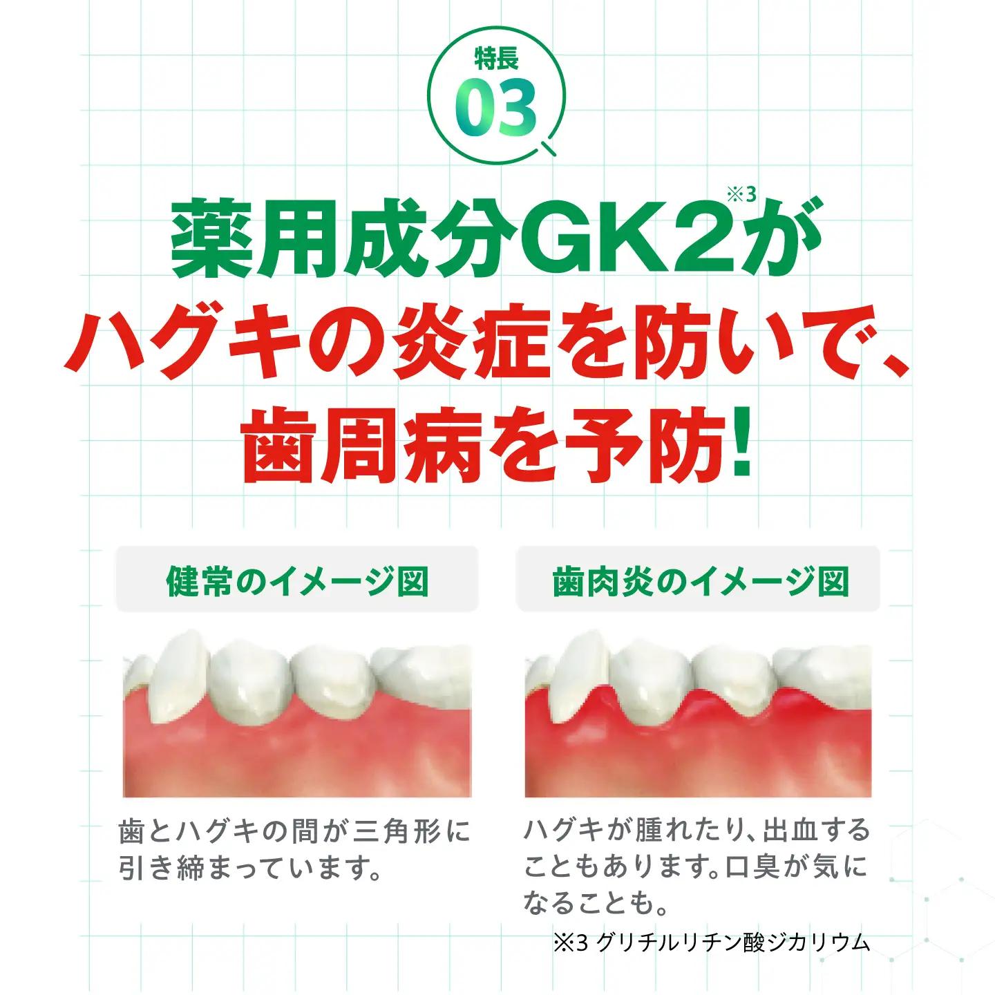 GUM デンタルペースト(ST) 120g×24本 大阪府高槻市/サンスター[AOAD078]