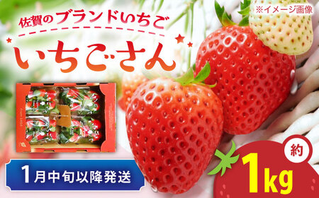 【先行予約 1月中旬以降順次発送】【佐賀のブランドいちご】いちごさん 約1kg（約250g×4p）/中村青果店[UDK010]