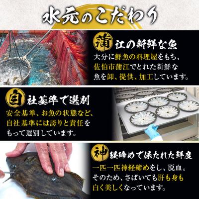 ふるさと納税 佐伯市 <定期便・全3回 (隔月)> 訳あり 骨取り 白身魚 切身 (総量3.6kg・計1.2kg×3回) |  | 02