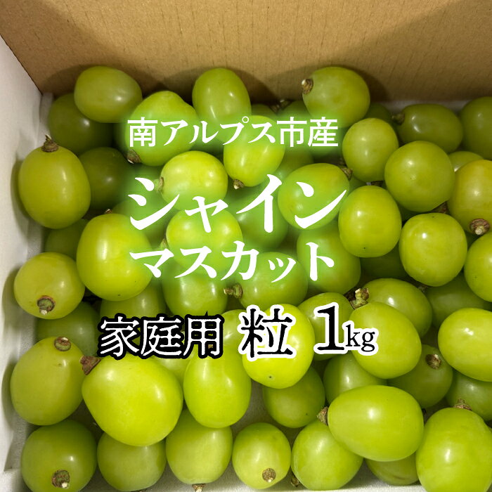 【ふるさと納税】＜2026年発送先行予約＞南アルプス市産シャインマスカット家庭用　粒1kg ふるさと納税 おすすめ 山梨県 南アルプス市 送料無料 ALPAG012