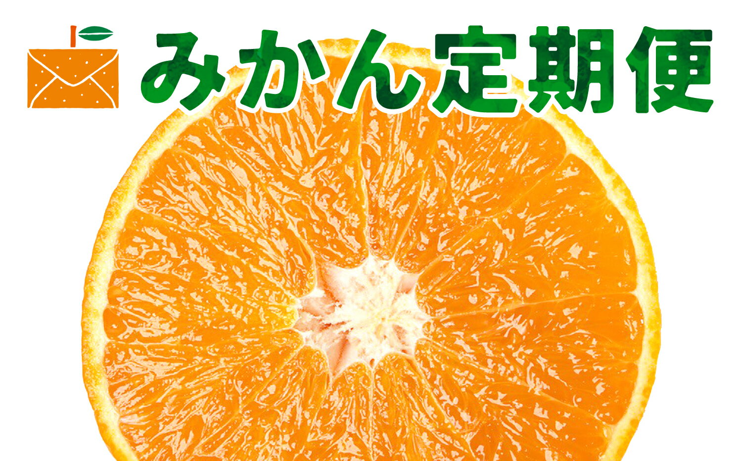 【ふるさと納税】【発送月固定定期便】ボリューム定期便【H33-45】全5回_【4053470】YWTG027