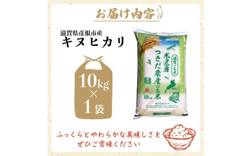令和8年産 新米 キヌヒカリ 白米 10kg ひこにゃん米 米 コメ お米 10キロ 米10kg ご飯 ごはん きぬひかり おにぎり お弁当 滋賀 彦根