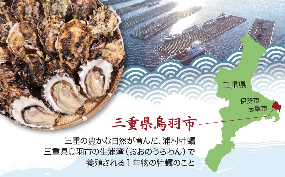 鳥羽浦村の丸善水産のオリジナルブランド牡蠣