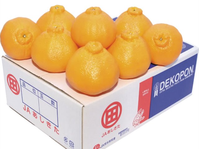 【ふるさと納税】ハウスデコポン3kg 熊本県産 令和7年12月中旬より順次発送します