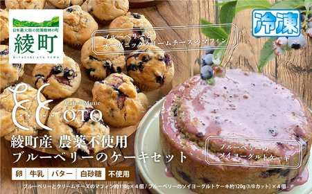 91-01_綾町産無農薬ブルーベリーとオーガニッククリームチーズのマフィン＆ブルーベリーのソイヨーグルトケーキセット