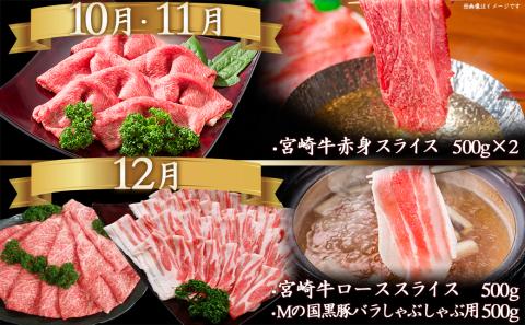 【定期便】迷ったらコレ!宮崎牛食べ尽くし定期便(10ヵ月)〔T120（10）-0101〕