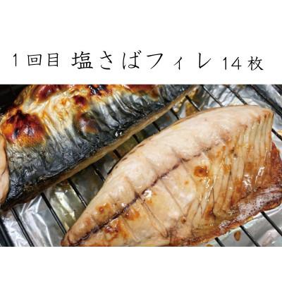ふるさと納税 北山村 【毎月定期便】和歌山からお届け おさかな定期便 サバ・ウナギ・サケ【tkb131】全3回 |  | 01