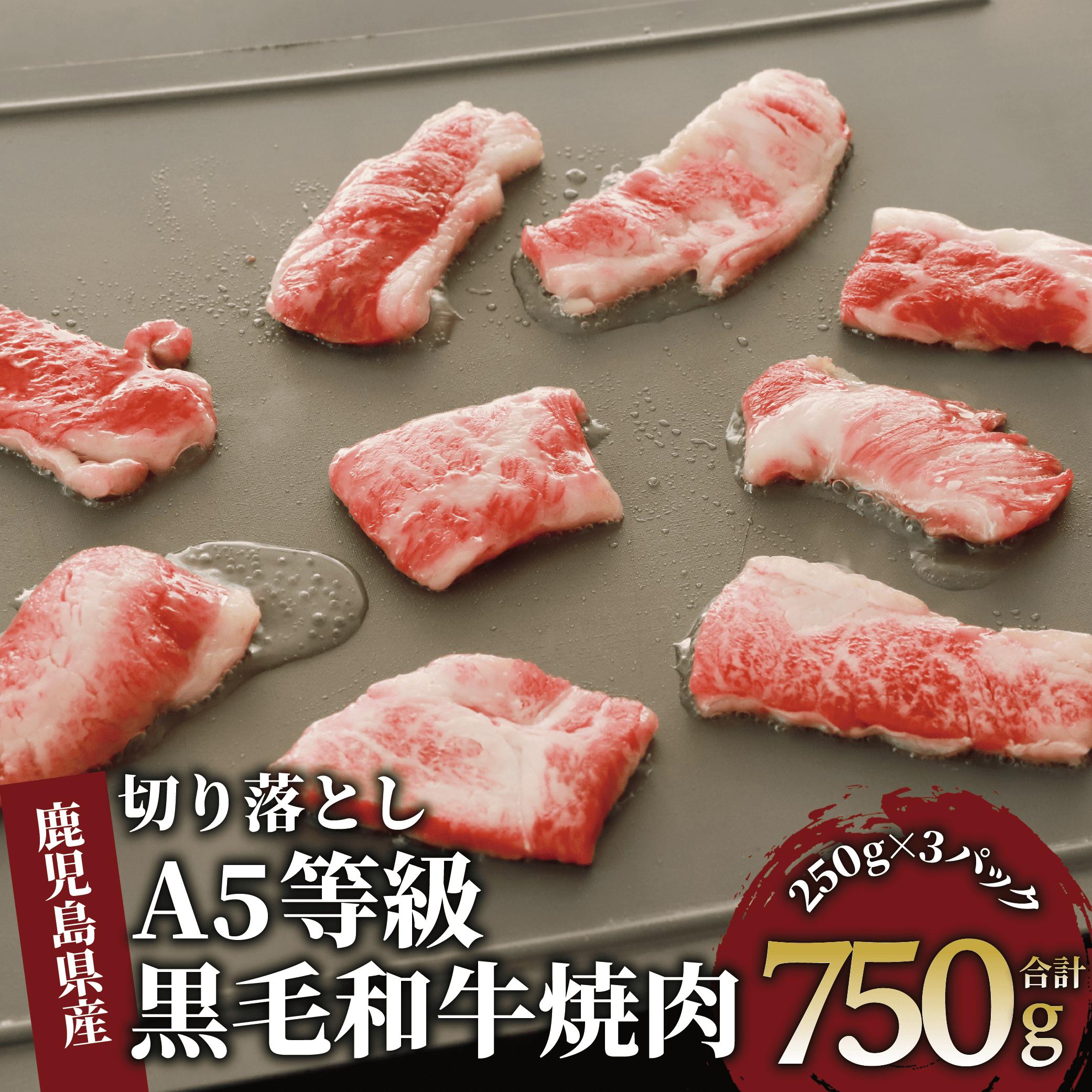 A5等級鹿児島県産黒毛和牛焼肉切り落とし750g(250g×3P)(カミチク/012-1659) 牛肉 牛 肉 お肉 黒毛和牛 黒毛 国産牛 国産 鹿児島県産 バーベキュー 切落し 和牛 A5 A5ランク ミスジ ウワミスジ インサイド ミックス キャンプ BBQ 野菜炒め 炒め物 家庭用 冷凍 小分け 焼肉用