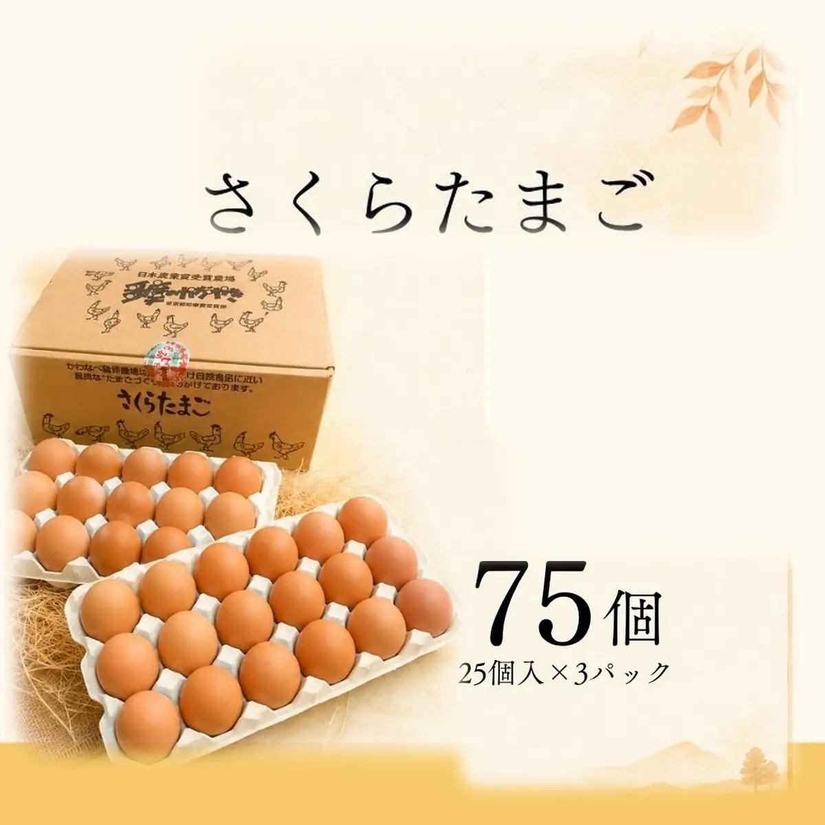 かわなべ鶏卵農場のこだわりのたまご 75個 さくらたまご 青梅市