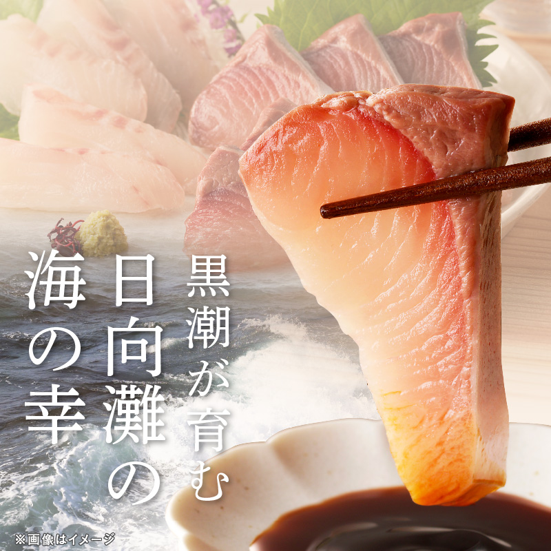 【6ヶ月定期便】大和海商 大和のこだわり漁師のお刺身4人前【冷蔵】 N072-YE131-1