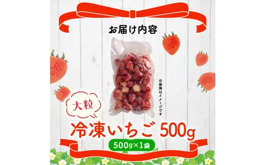 冷凍 いちご 500g 完熟 ヘタ取り 大粒 イチゴ 苺 冷凍いちご 果物 スイーツ デザート フルーツ アイス ジャム シャーベット ベリー 氷菓  甘い オススメ 人気 滋賀県 竜王町 ひさだ苺農