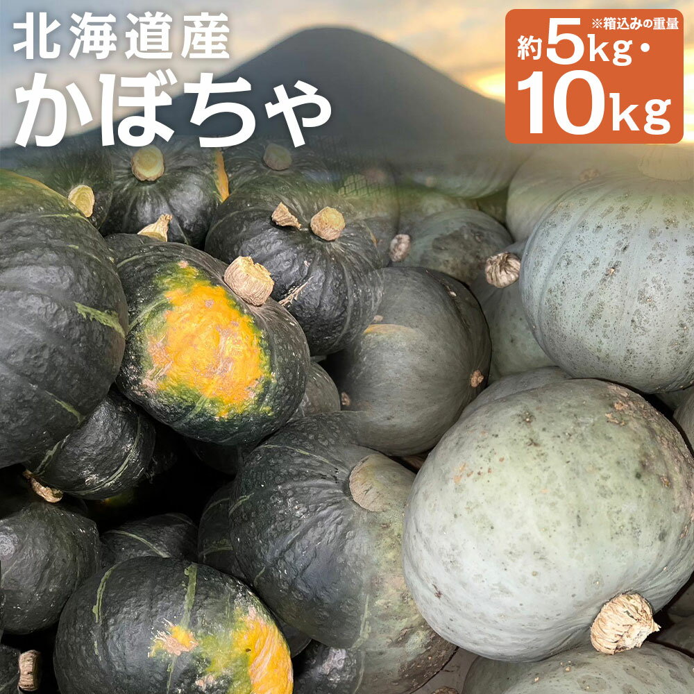 【ふるさと納税】＜選べる品種・内容量＞北海道産 かぼちゃ ブラックのジョー / 雪化粧 / セット 約5kg（2～5玉）×1箱 / 計約10kg（約5kg×2箱） 山田農場 カボチャ 南瓜 野菜 国産 北海道 京極町 送料無料 【2026年10月上旬-11月上旬迄発送予定】