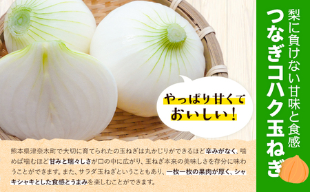 玉ねぎ つなぎコハク玉ねぎ 5kg《4月中旬-5月中旬出荷》熊本県 葦北郡 津奈木町 つなぎ琥珀玉ねぎプロジェクト 野菜 たまねぎ