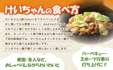 ミズホのケイちゃんお試しセット チキンディンティ（しょうゆ×2 しお×2） 計4個 冷凍配送 ケイちゃん【21-4】
