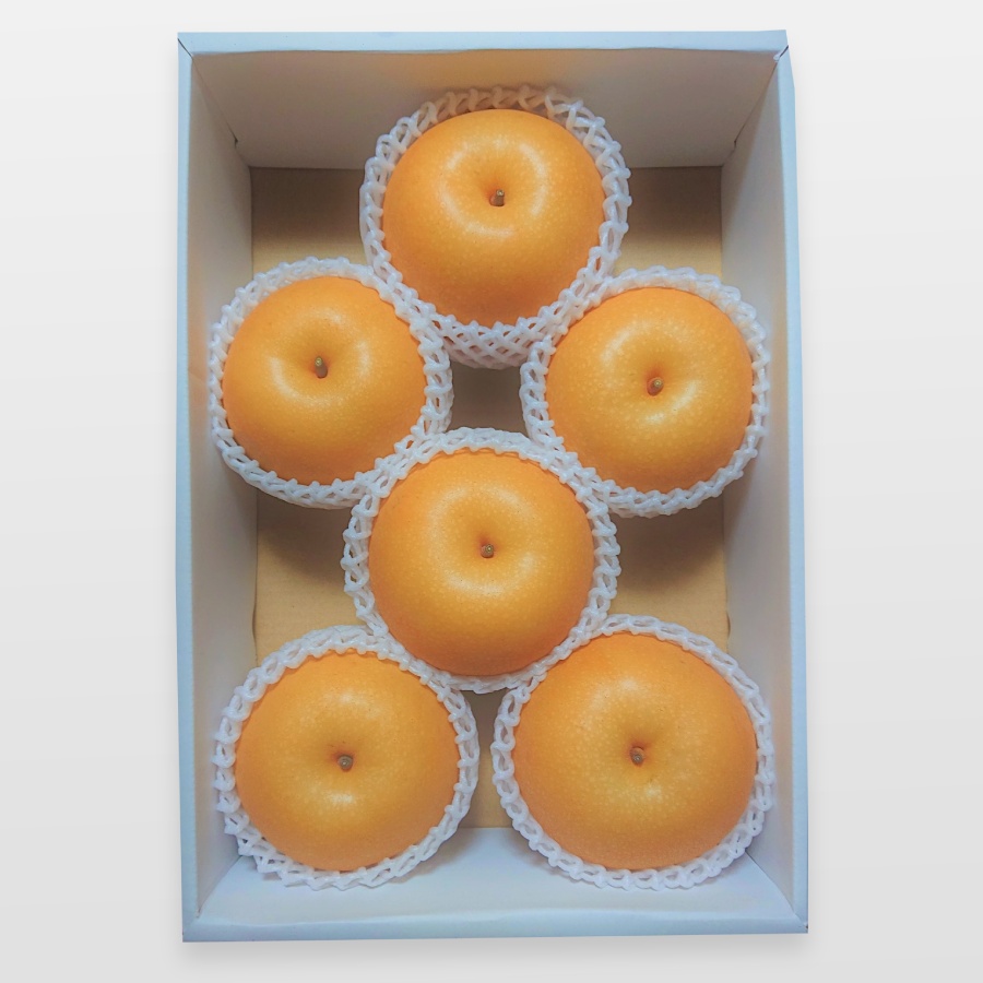 あきづき梨 4kg 6～10玉（三越伊勢丹選定）
