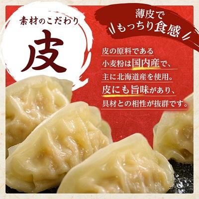 ふるさと納税 大和高田市 鉄人餃子　300個(30個×10袋) |  | 03